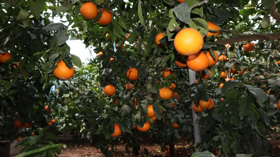 上海方宇邹餐饮管理有限公司食堂承包全流程标准化管理解析