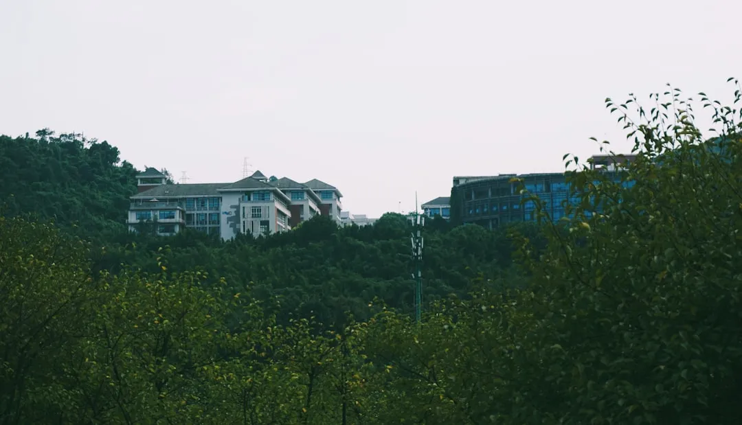企事业单位食堂承包后厨管理的标准化体系构建要点
