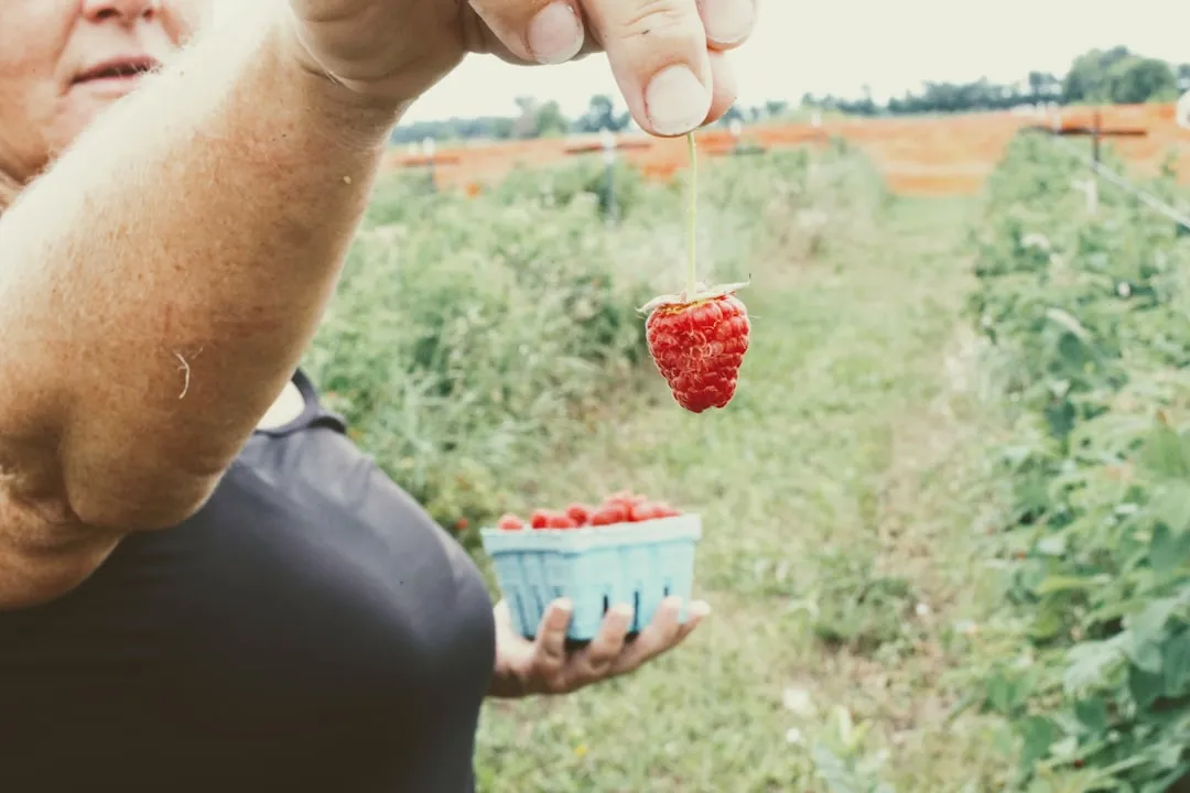 企事业单位食堂承包模式对比：全托管与半托管方案优劣势分析